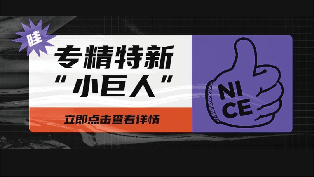 上訊信息入選國家級專精特新“小(xiǎo)巨人”企業